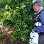 AEVAE gestionó 890 toneladas de envases agrarios en 2025, el doble que en 2024, y alcanzó 1.500 puntos de recogida
