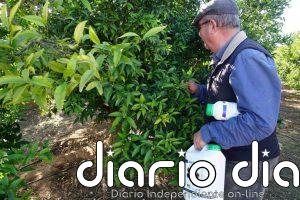 AEVAE gestionó 890 toneladas de envases agrarios en 2025, el doble que en 2024, y alcanzó 1.500 puntos de recogida