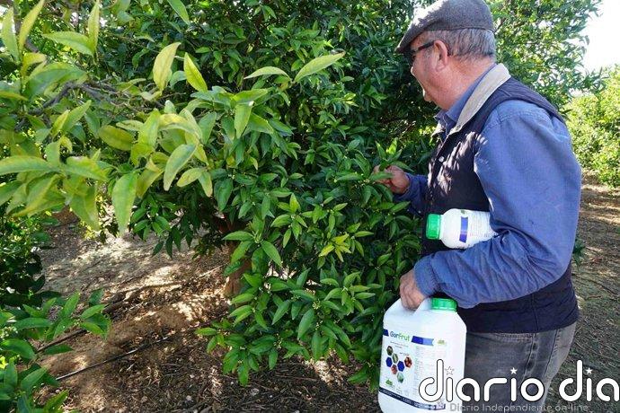 AEVAE gestionó 890 toneladas de envases agrarios en 2025, el doble que en 2024, y alcanzó 1.500 puntos de recogida