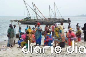 Alianza ambiental busca efrentar la amenaza del transporte marítimo a los océanos