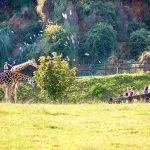 Cabárceno recibe este Primero de Mayo 6.375 visitantes