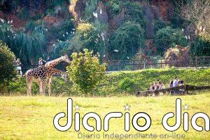 Cabárceno recibe este Primero de Mayo 6.375 visitantes