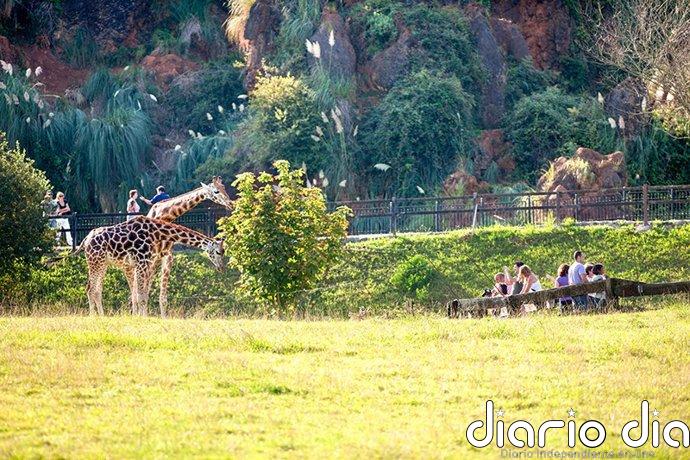 Cabárceno recibe este Primero de Mayo 6.375 visitantes