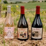 Cepa 21 inicia una nueva etapa con una nueva generación de vinos para redefinir Ribera del Duero