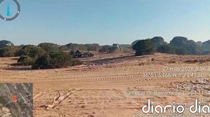 Cien bomberos forestales trabajan en Doñana para la extinción del incendio tras su estabilización