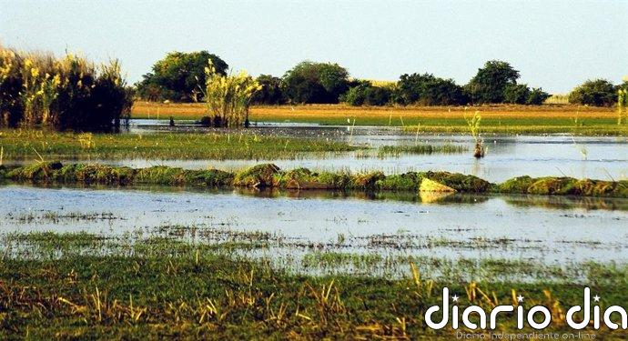 Científicos creen que podría estar formándose un nuevo límite de placas tectónicas en Zambia