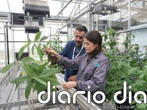 Científicos de la UMA revelan cómo la agricultura ecológica favorece que cultivos resistan mejor a la sequía