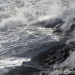 Científicos descubren un potencial revolucionario para la regeneración de tejidos en el océano