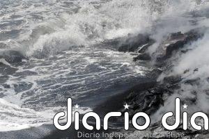 Científicos descubren un potencial revolucionario para la regeneración de tejidos en el océano