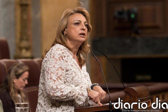 Coalición Canaria da por finiquitada la legislatura y pide elecciones: "Toca que los ciudadanos elijan nuevo gobierno"