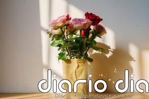 Cómo hacer que las rosas duren más de una semana en casa