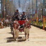 Crece el reciclaje en la Feria del Caballo 2026 de Jerez (Cádiz) con un volumen de restos de 655.381 kilos