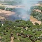 Declarado un incendio en el paraje La Pañuela de Almonte (Almonte)