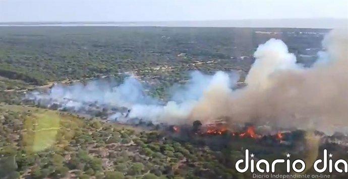 Declarado un segundo incendio en el paraje Marismillas de Almonte (Huelva) que requiere la presencia de dos helicópteros