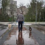 Derechos Sociales destina 50.000 euros para ayudar al cuidado de personas con discapacidad, dependencia o mayores de 65