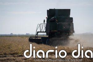 Desarrollo Rural destina 12 millones a 271 personas para favorecer inversiones en sus explotaciones agrarias