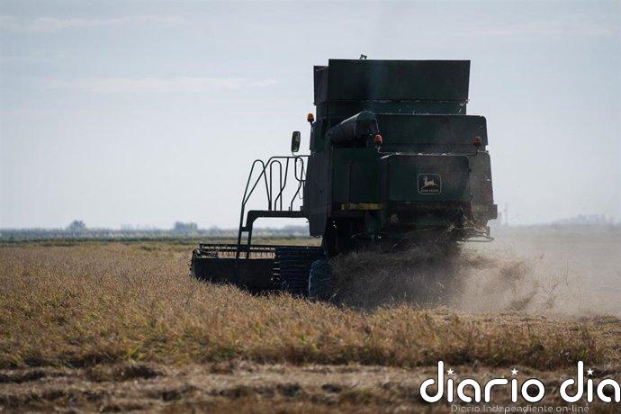 Desarrollo Rural destina 12 millones a 271 personas para favorecer inversiones en sus explotaciones agrarias