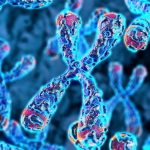 Descubren una mutación genética que mantiene 'jóvenes' las células inmunitarias y multiplica el riesgo de linfoma
