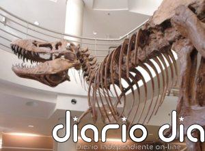 Desvelan por qué los dinosaurios carnívoros como el T. rex desarrollaron brazos diminutos