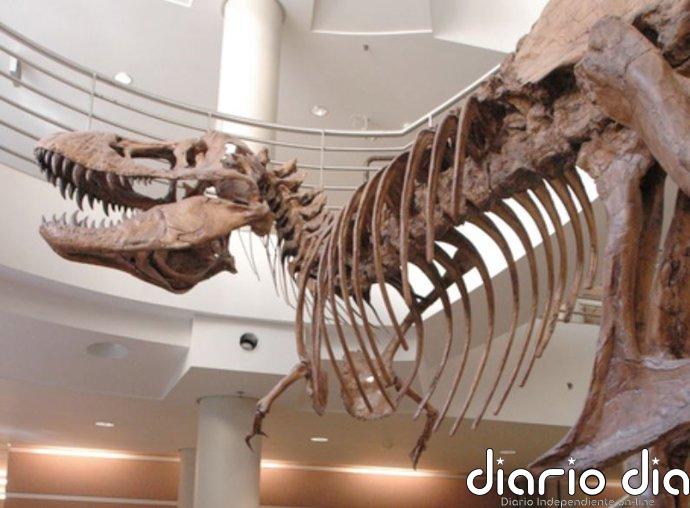 Desvelan por qué los dinosaurios carnívoros como el T. rex desarrollaron brazos diminutos