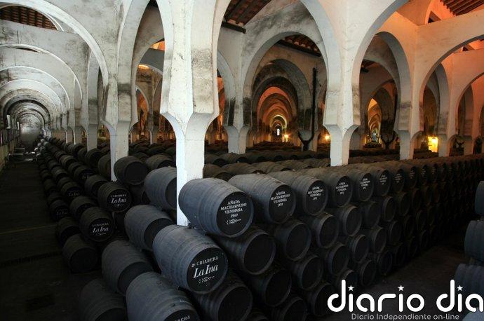 Diputación de Cádiz llevará a Vinoble catas, un cóctel inaugural y muestras de productos gaditanos