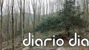 Diputación de Gipuzkoa celebra el 7 de junio el Día del Parque Natural de Pagoeta con diversas actividades