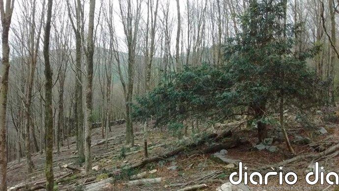 Diputación de Gipuzkoa celebra el 7 de junio el Día del Parque Natural de Pagoeta con diversas actividades