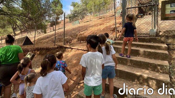 Diputación de Sevilla destina más de 687.000 euros a municipios menores para dinamizar la formación y valores ciudadanos
