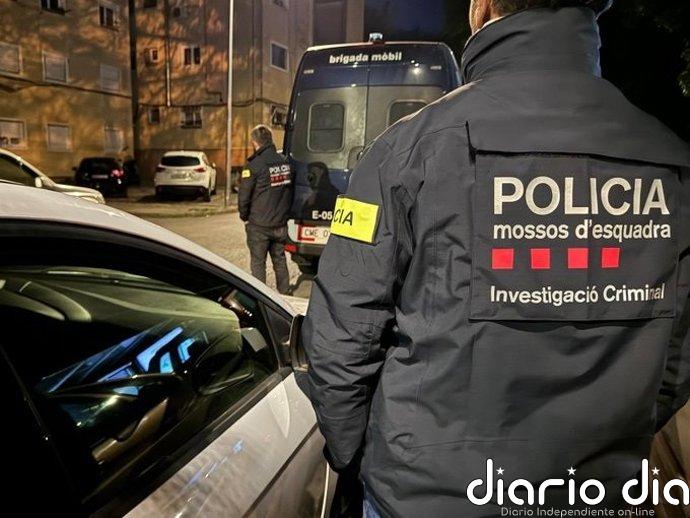 Dispositivo en marcha de Mossos contra una red de cultivo de marihuana en localidades de Girona