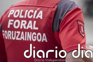 Dos detenidos y un investigado por hurto de electrodomésticos y pertenencia a grupo criminal en Tudela