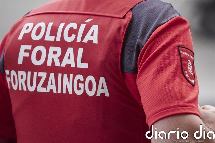 Dos detenidos y un investigado por hurto de electrodomésticos y pertenencia a grupo criminal en Tudela