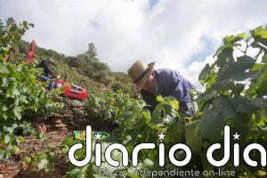 El BOR publica el listado de parcelas admisibles para cosecha en verde