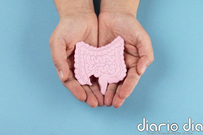 El CIBER destaca la medicina de precisión y la voz del paciente para avanzar en la enfermedad inflamatoria intestinal