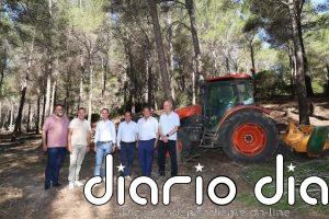 El Consell inicia un plan de limpieza forestal en 18 municipios para prevenir incendios en la Serra de Tramuntana