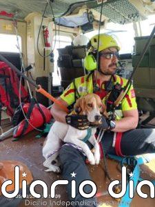 El helicóptero rescata a una perra enriscada en una canal de Picos de Europa