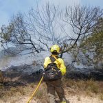 El incendio de Almonte (Huelva) queda estabilizado y el dispositivo continúa trabajando para su control