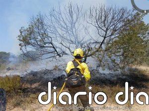 El incendio de Almonte (Huelva) queda estabilizado y el dispositivo continúa trabajando para su control