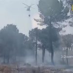 El Infoca estabiliza un incendio forestal declarado este sábado en Almonte (Huelva)