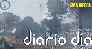El Infoca estabiliza un incendio forestal declarado este sábado en Almonte (Huelva)