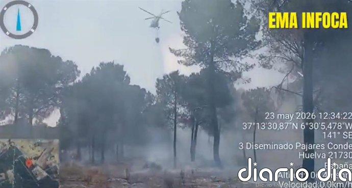 El Infoca estabiliza un incendio forestal declarado este sábado en Almonte (Huelva)