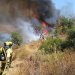 El Infoca logra extinguir dos de los ocho incendios forestales declarados en Andalucía este domingo