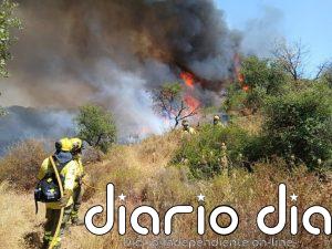 El Infoca logra extinguir dos de los ocho incendios forestales declarados en Andalucía este domingo
