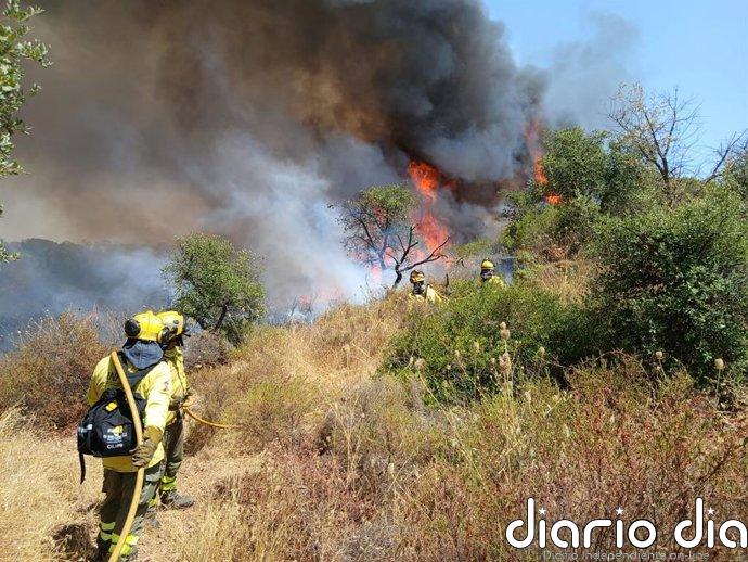 El Infoca logra extinguir dos de los ocho incendios forestales declarados en Andalucía este domingo