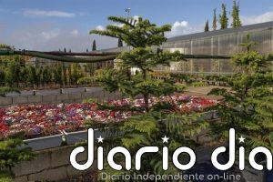 El mes de mayo arranca en Huelva con la plantación de 2.600 flores de temporada