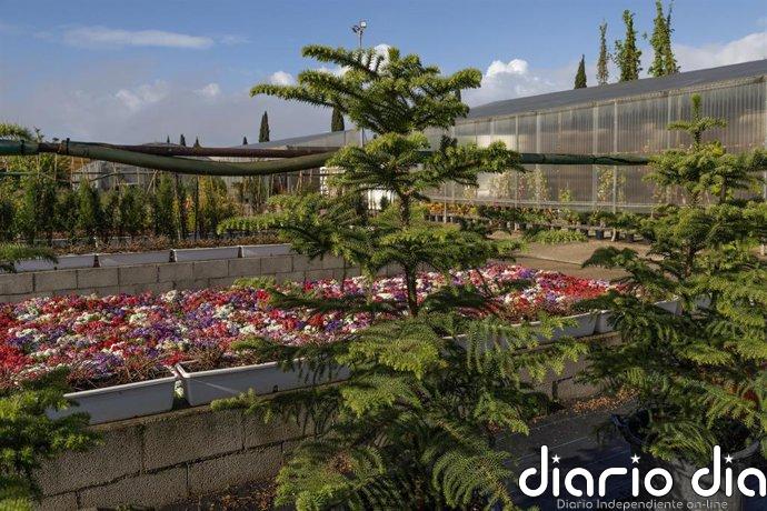 El mes de mayo arranca en Huelva con la plantación de 2.600 flores de temporada