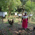 El modelo de financiamiento de la restauración del delta del Tana en Kenia