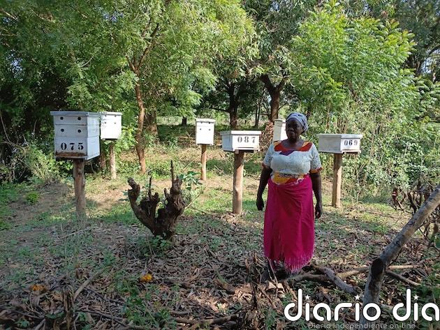 El modelo de financiamiento de la restauración del delta del Tana en Kenia