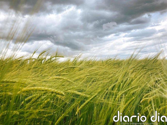 El precio de los principales productos agrícolas básicos se podrían disparar un 8,5% por la guerra de Irán