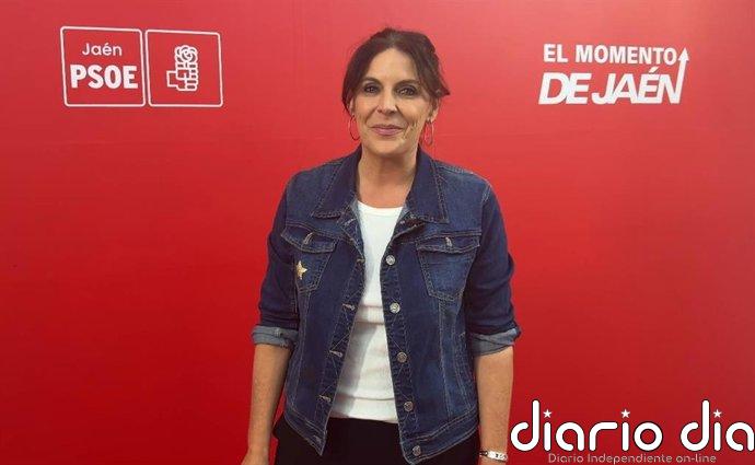 El PSOE-A apela a la "movilización masiva" para frenar "la estrategia de recortes de la derecha"