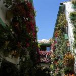 El PSOE afirma que "el desinterés de Bellido por regular el casco histórico pone en riesgo la Fiesta de Patios"